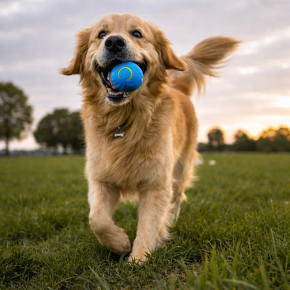 Interaktiver beruhigender Ball für Hunde