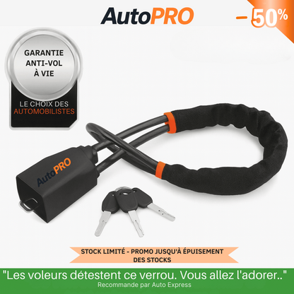 Diebstahlsicherung für Autos