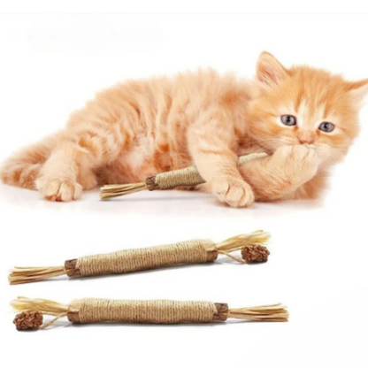 Kauspielzeug für Katzen aus natürlichen Matatabi-Sticks