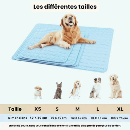 Selbstkühlende Matratze für Hunde