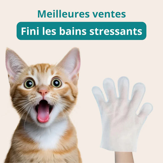 Box mit Reinigungshandschuhen für Tiere