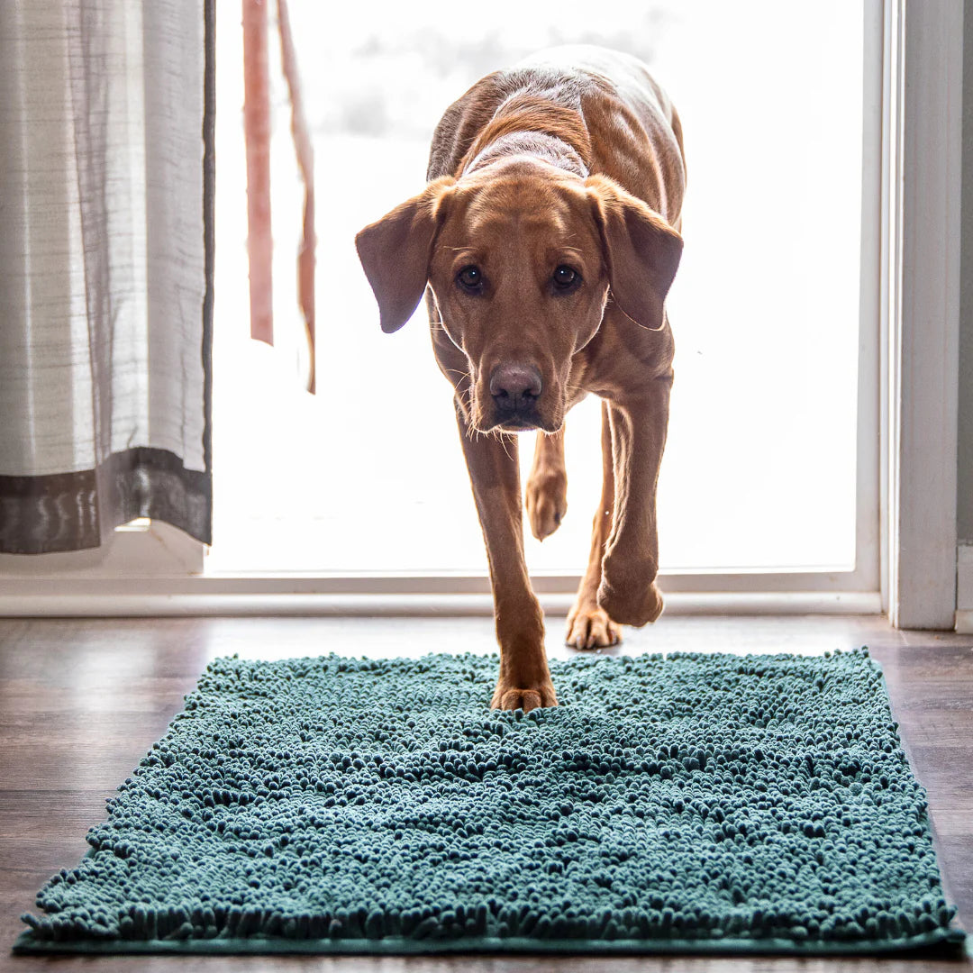 Absorbierende Matte für Hunde- und Katzenpfoten