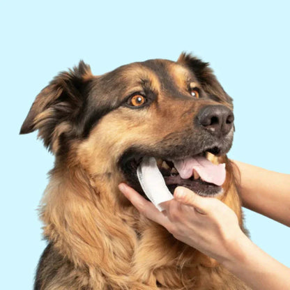 Zahnpflegetücher für Tiere