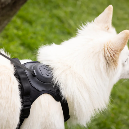 2-in-1-Geschirr für Hunde