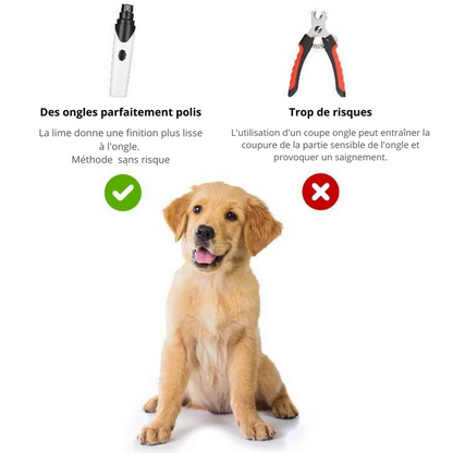 Elektrische Nagelfeile für Hunde