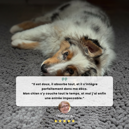 Absorbierende Hundematte für den Innenbereich