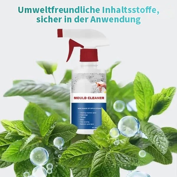 Schimmel- und Mehltau-Entferner Schaumspray