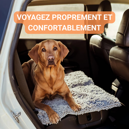 Absorbierende Matte für Hunde- und Katzenpfoten