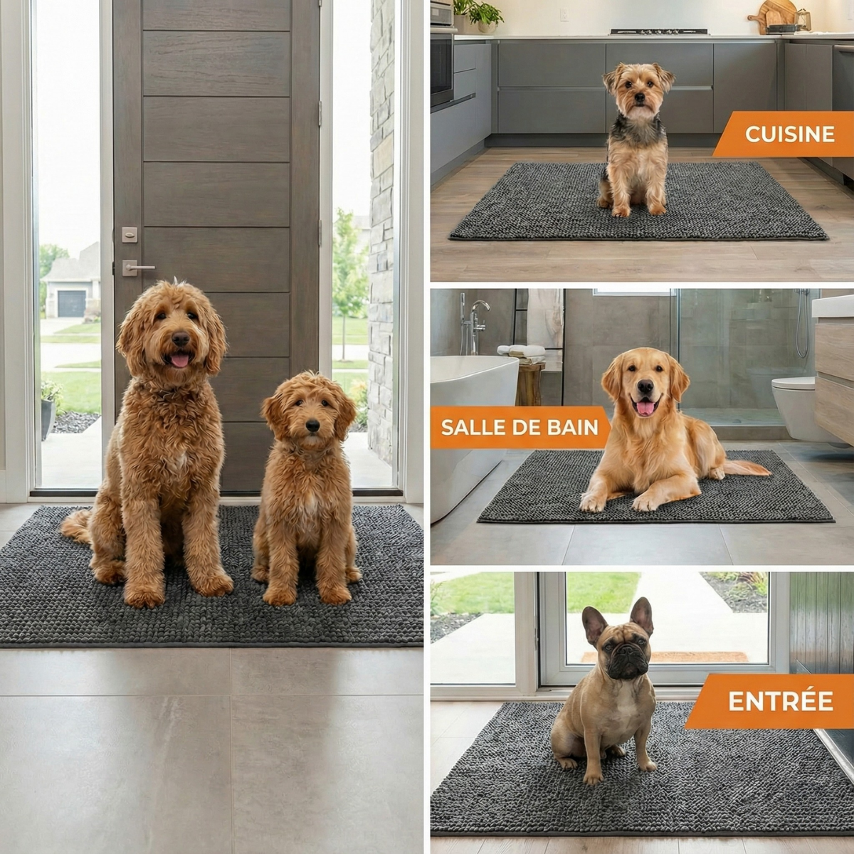 Absorbierende Matte für Hunde- und Katzenpfoten