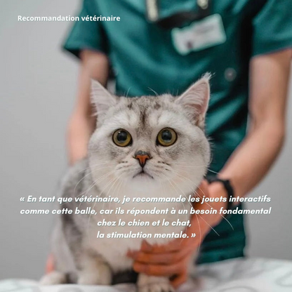 Interaktiver beruhigender Ball für Hunde