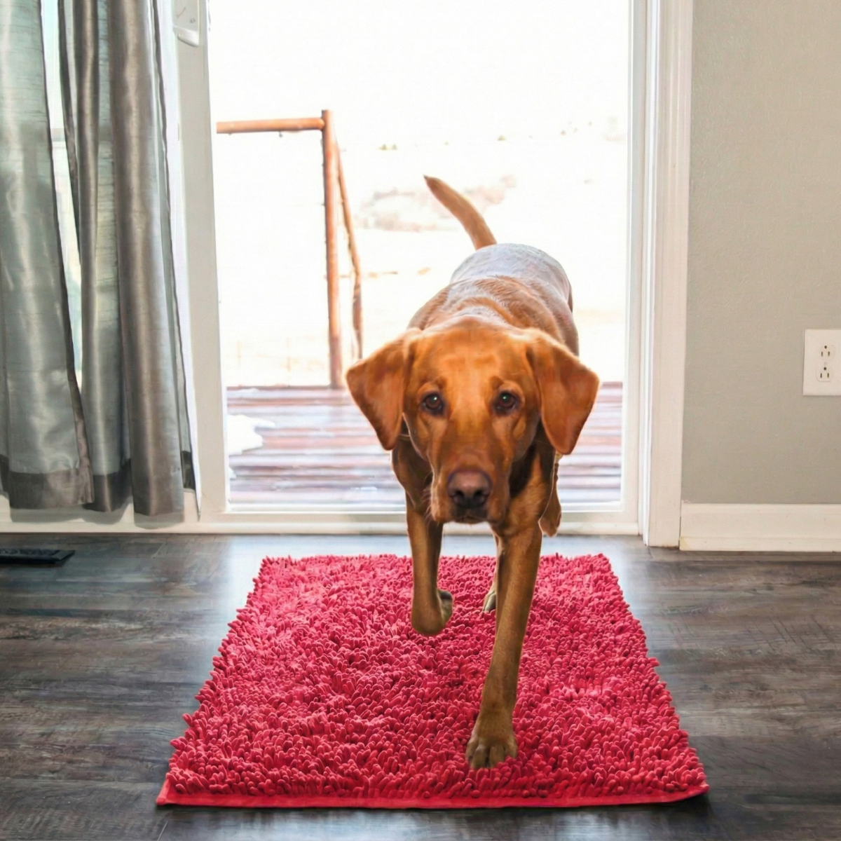 Absorbierende Matte für Hunde- und Katzenpfoten