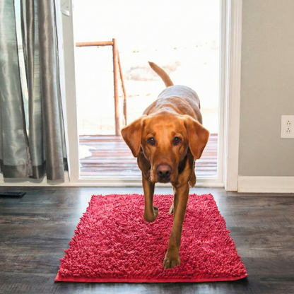 Absorbierende Matte für Hunde- und Katzenpfoten