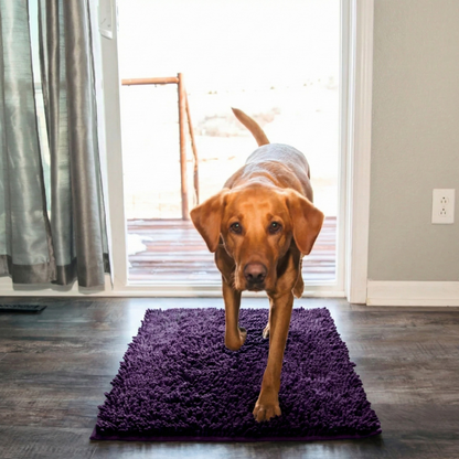 Absorbierende Matte für Hunde- und Katzenpfoten