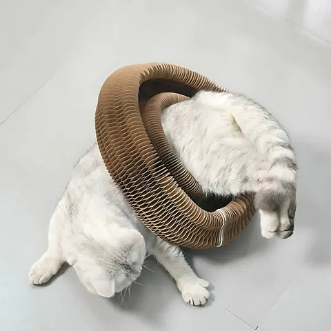 Interaktives Kratzspielzeug für Katzen