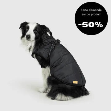2-in-1-Winterjacke für Hunde