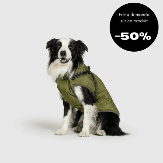 2-in-1-Winterjacke für Hunde