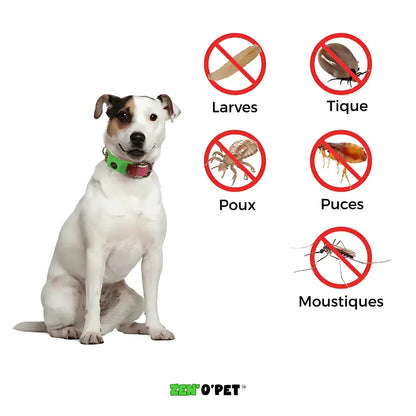 Floh- und Zeckenhalsband für Hunde