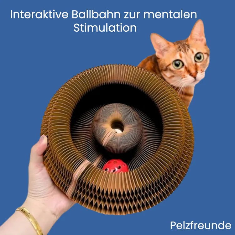 Kratzbett für Katzen