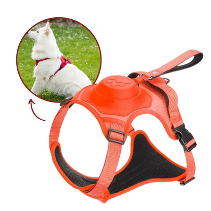 2-in-1-Geschirr für Hunde