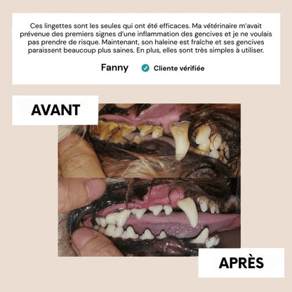 Salviette dentali per animali
