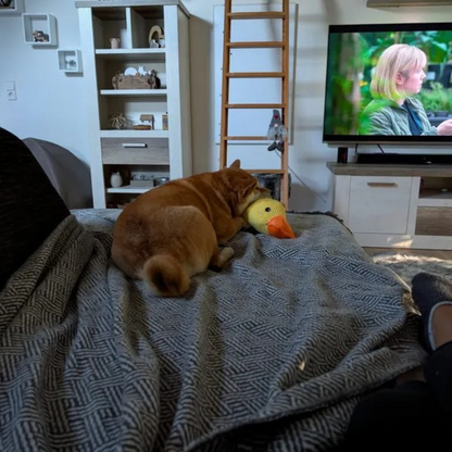 Peluche d'anatra per cani