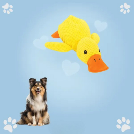 Peluche d'anatra per cani