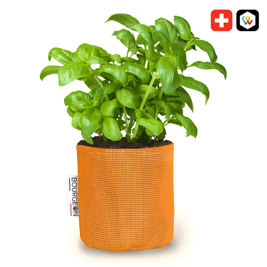 Vaso auto-irrigante in evoluzione