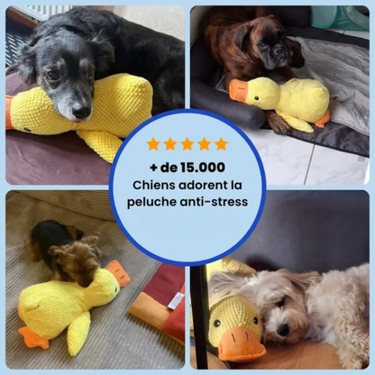 Peluche d'anatra per cani