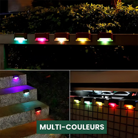 Multicolore