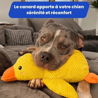 Peluche d'anatra per cani