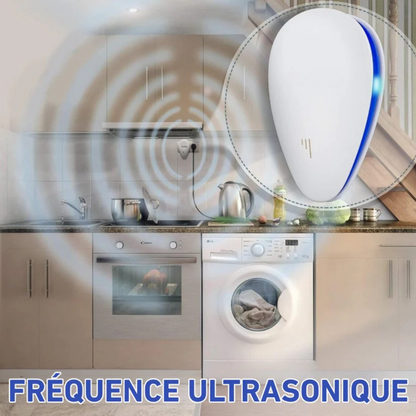 Repellente per cimici dei letti - Edizione 2025