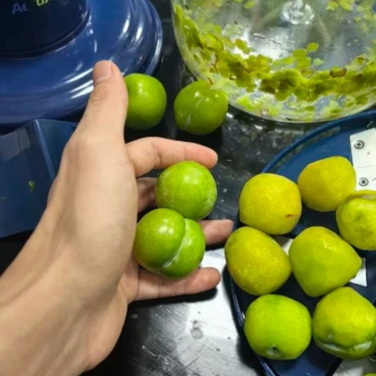 Pelatrice elettrica multifrutta a batteria