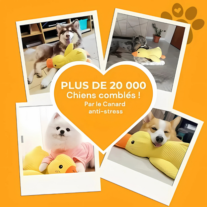 Peluche lenitivo per cani