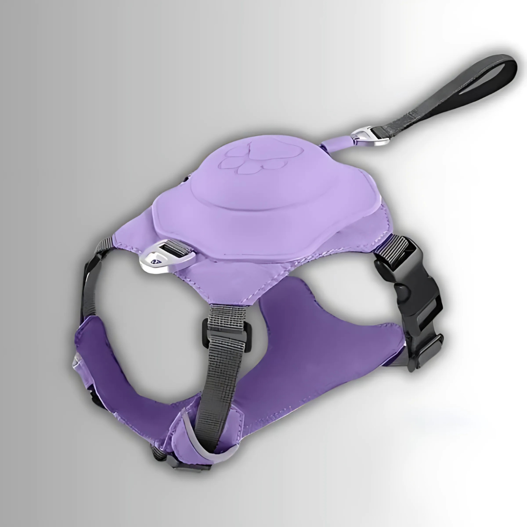 Hundegeschirr 2 in 1 con clip frontale
