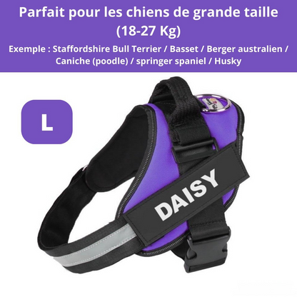 Pettorina personalizzata per cani di piccola taglia