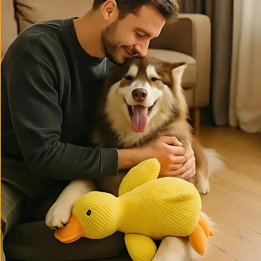 Peluche lenitivo per cani