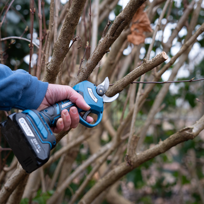 NovarGarden® Effortless Pruning Pack NG2 - Scatola e 4 batterie incluse