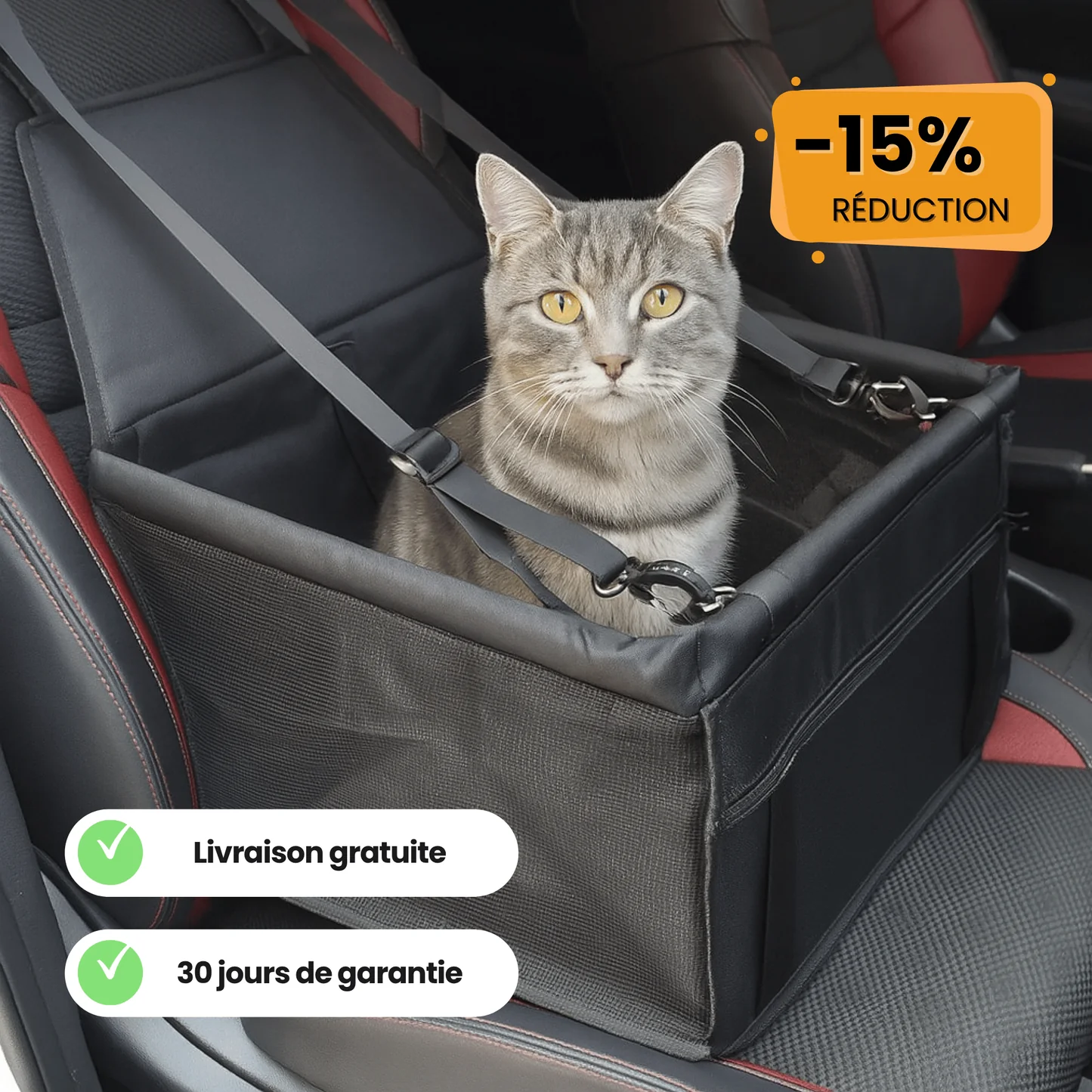 Sedile per il trasporto dei gatti