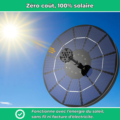 Fontana solare per laghetti e giardini - Autonoma e decorativa