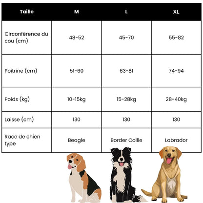 Pettorina per cani 2 in 1