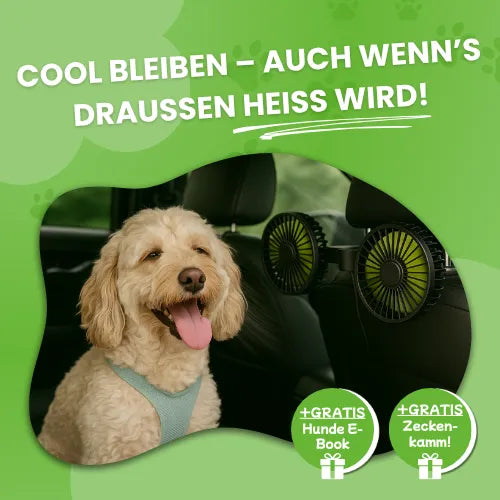 Ventilatore per auto