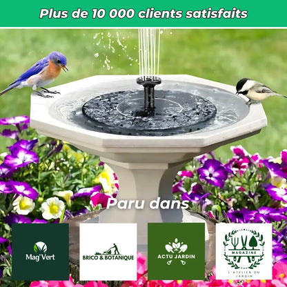 Fontana solare per laghetti e giardini - Autonoma e decorativa