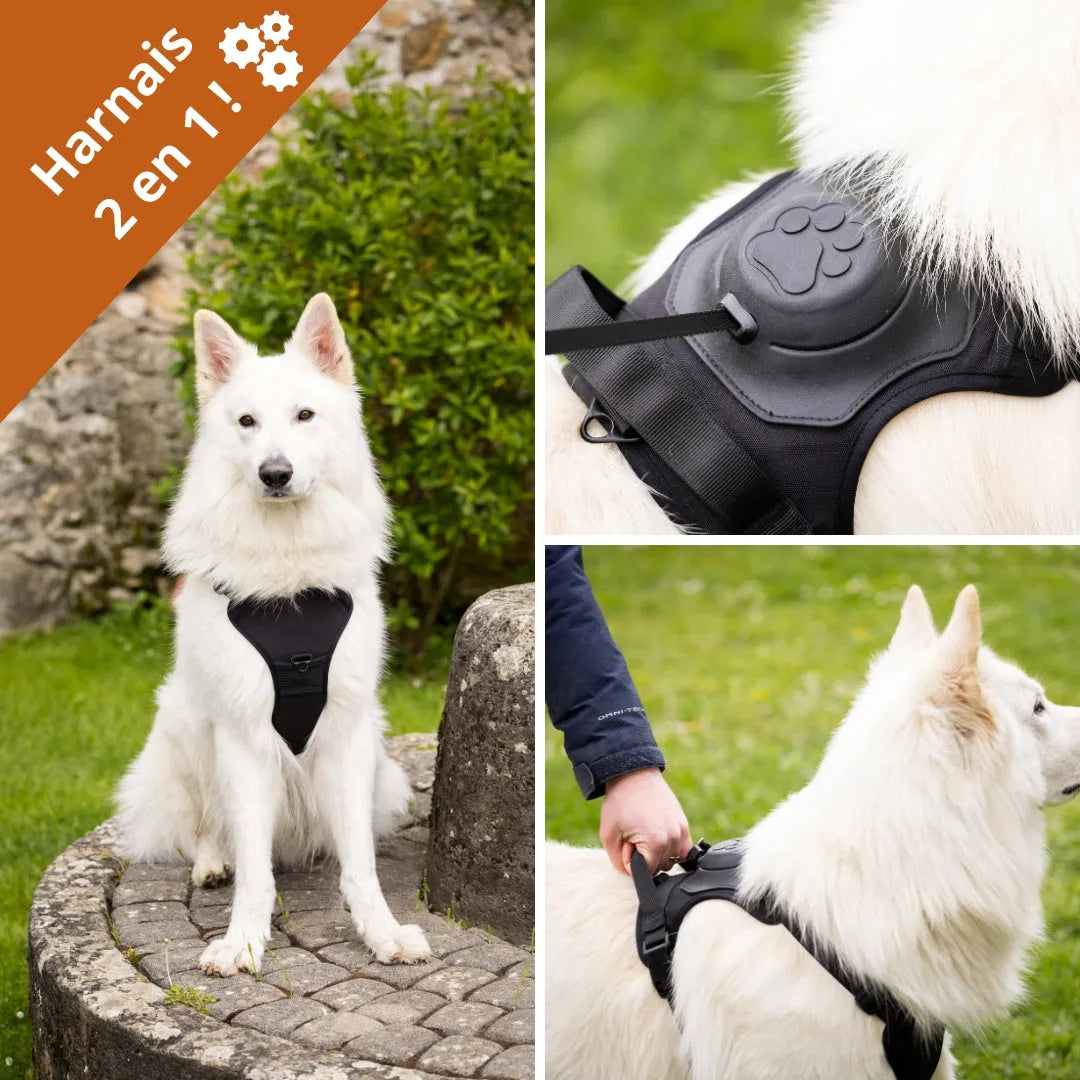 Pettorina per cani 2 in 1