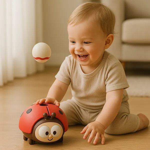 Palla giocattolo per coccinelle