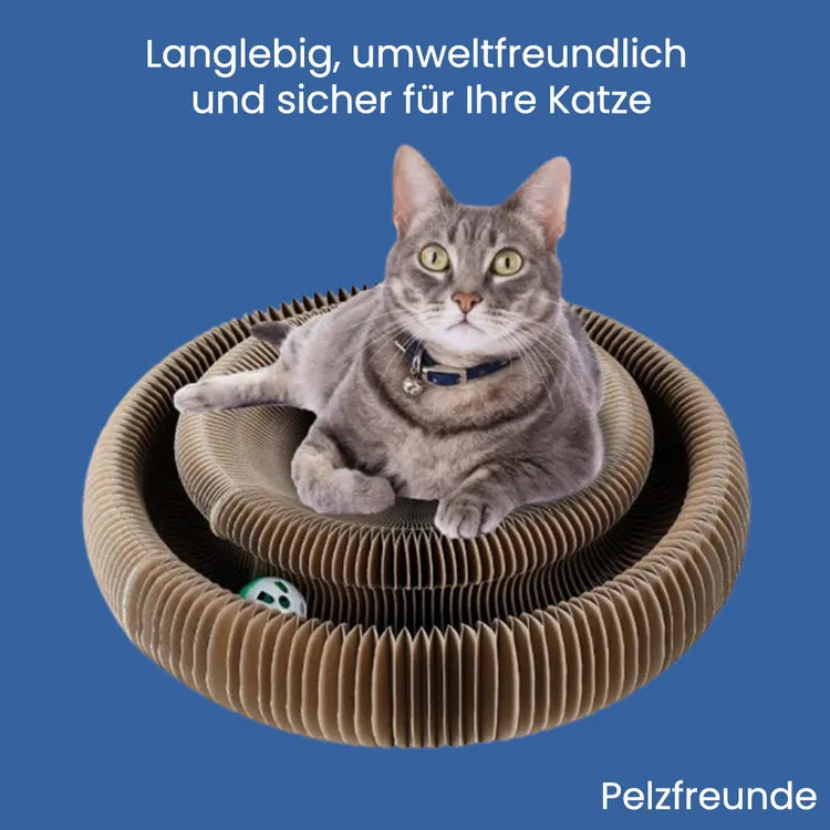 Kratzbett für Katzen