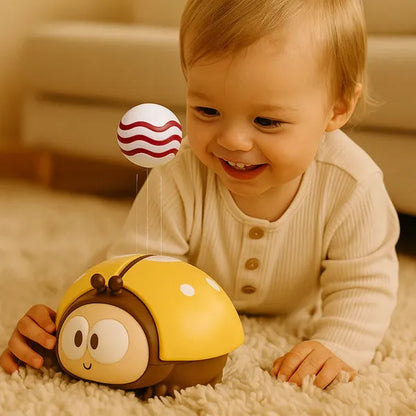 Palla giocattolo per coccinelle